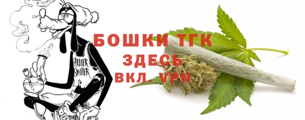 PSILOCYBIN Богданович