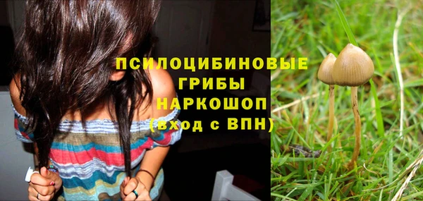 сатива Усинск